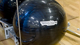 section image 1